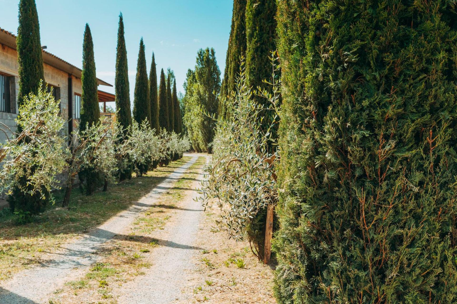 Agriturismo Il Borgo Cortona Kültér fotó