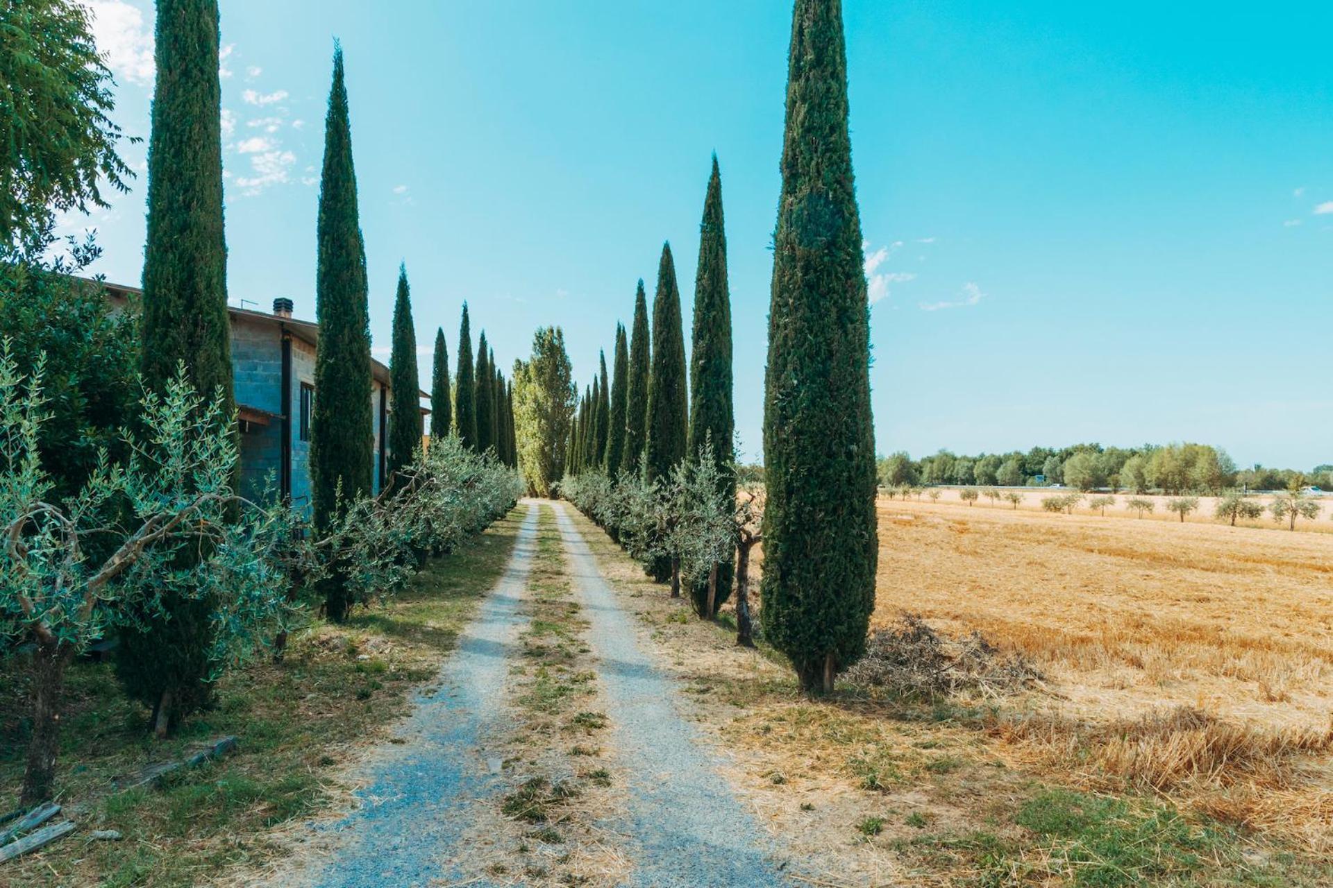 Agriturismo Il Borgo Cortona Kültér fotó